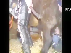 se masturba y acaba follando al caballo