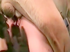 Thumb 13