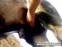 Beastmistress sucking a bull