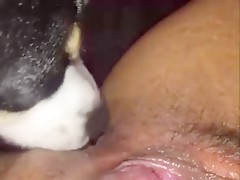 Very hot latino brunette sucks and gets fully penetrated by horse