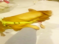 Thumb 7