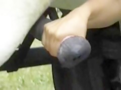 Thumb 6