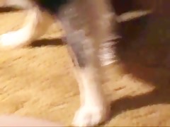Thumb 17