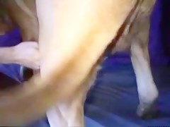 Thumb 6
