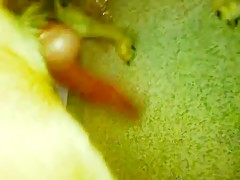 Thumb 12