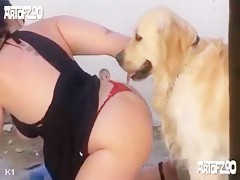 Se abre para su perro