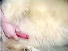 Thumb 16
