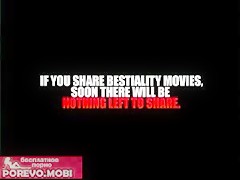 El perro no se le escapa