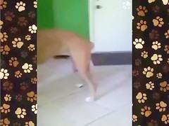 Thumb 17