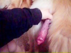Thumb 15