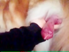 Thumb 17
