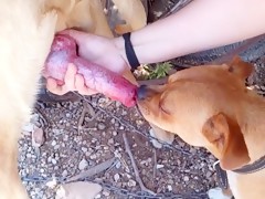 Thumb 13
