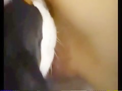 Thumb 18