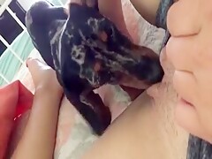 Puppy lick