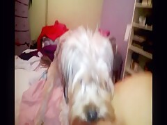 Thumb 1